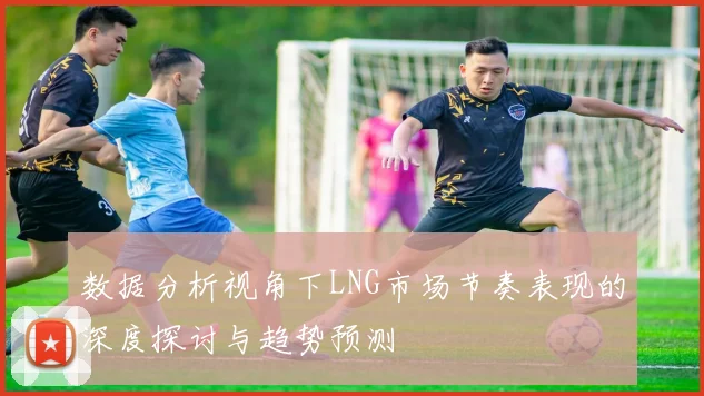 数据分析视角下LNG市场节奏表现的深度探讨与趋势预测